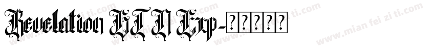 Revelation BTN Exp字体转换